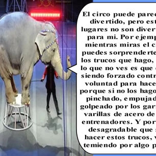 "No es divertido para mi."