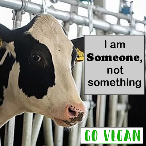 Someone Not Something