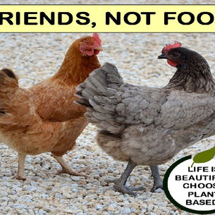 "Friends Not Friends."