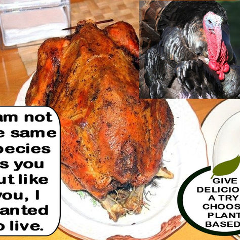 "What we have in common."