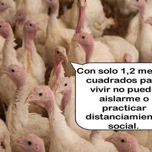 "Distanciamiento Social."