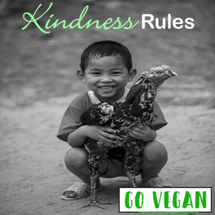Kindness Rules