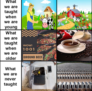 What We Are Taught
