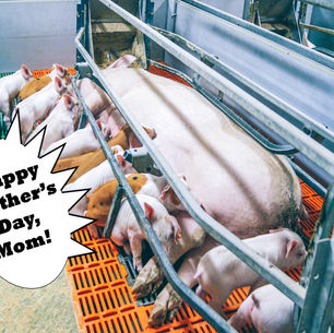 "Happy Mother's Day, Mom!"