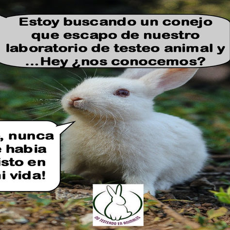 "Me pareces familiar."