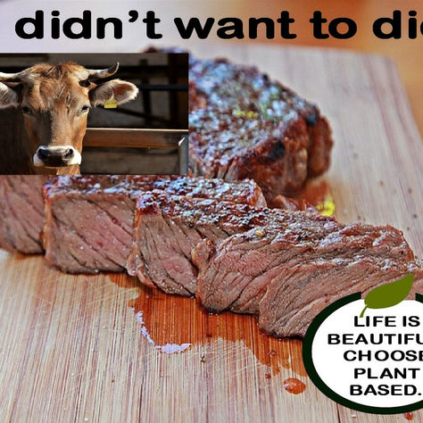 "I didn't want to die."