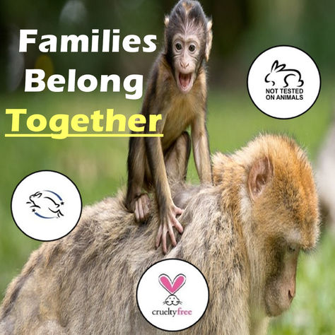 Families Belong Together
