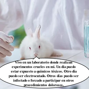 "Vivo en un laboratorio."