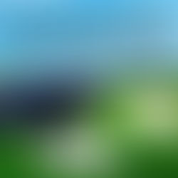 "Let's make a deal."