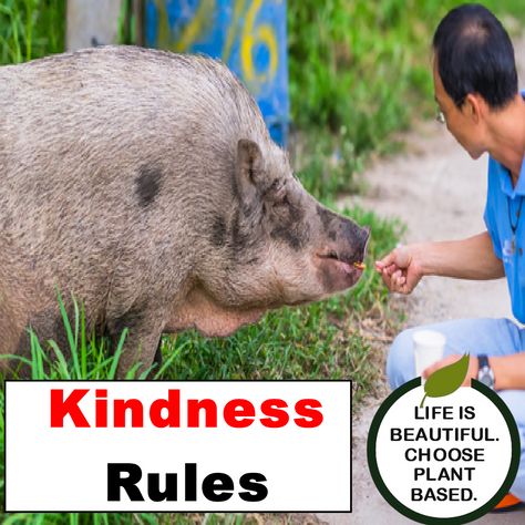 Kindness Rules