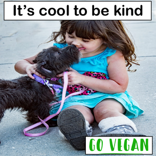 Kindness is Cool
