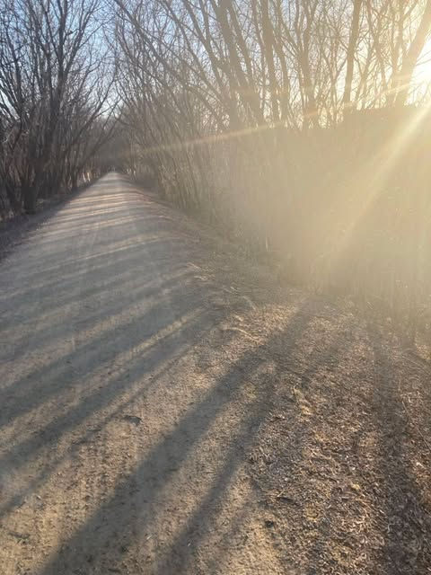 My (Un)training and (Re)wiring