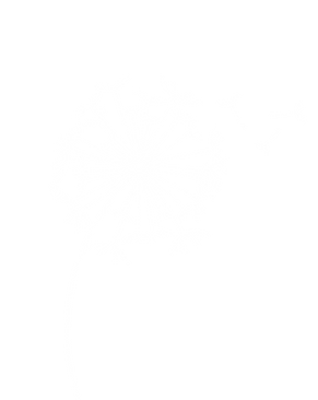 Dandelion White Logo | Logo | Wendy Mann Equip | Christian speaker, Christian Author, supernatural ministries and Christian courses, Christian living naturally supernatural, Christian woman leader, Women in church