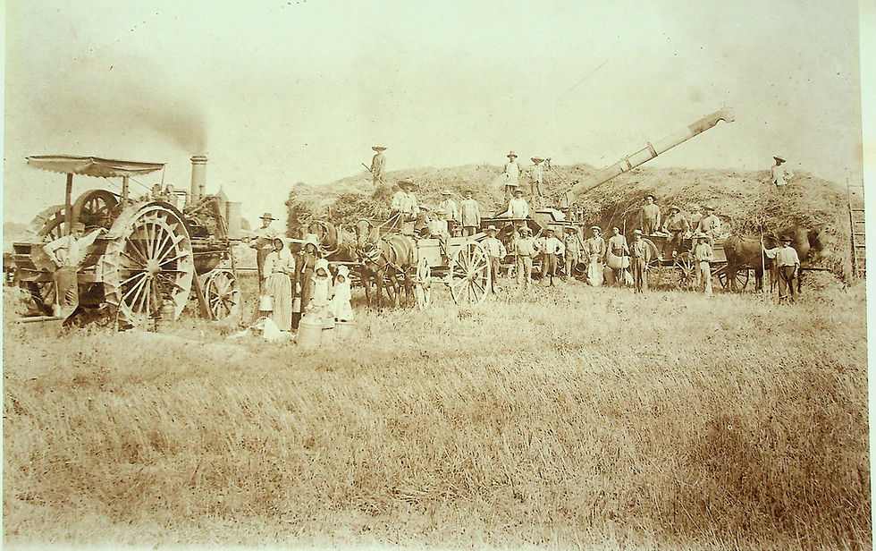 Threshing Freeburg-Smithton no enhance copy.jpg