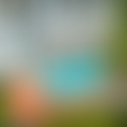 Come See Why the World is Discovering Dominica