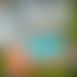 Come See Why the World is Discovering Dominica