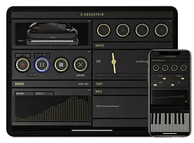 C. Bechstein Vario System