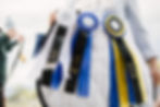KRC Ribbons.jpg