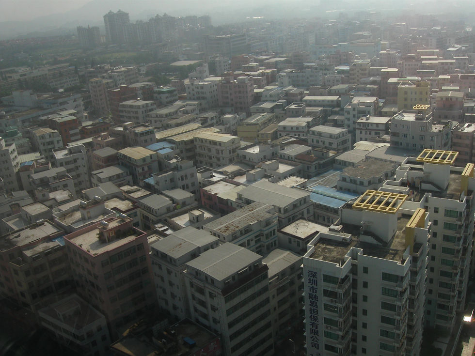 birdview of dachong village.jpg