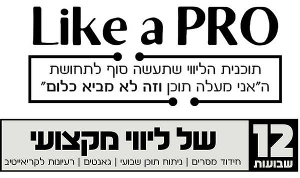 like a pro banner_edited.png