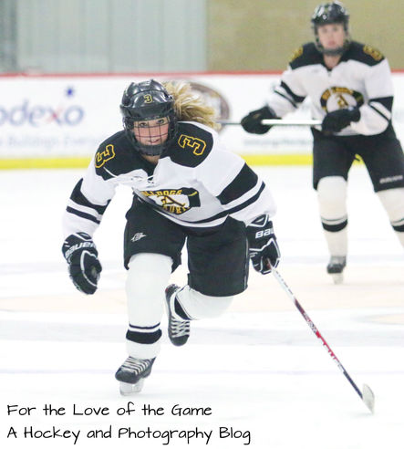 Adrian College Hockey 2015-16 Season Preview