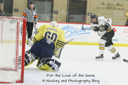 Men's D1 Falls to Wolverines