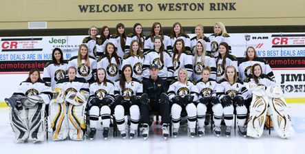 #ItsMoreThanJustClubHockey: The Class of 2016 Paved the Way for Women's Club Hockey at Adrian Co