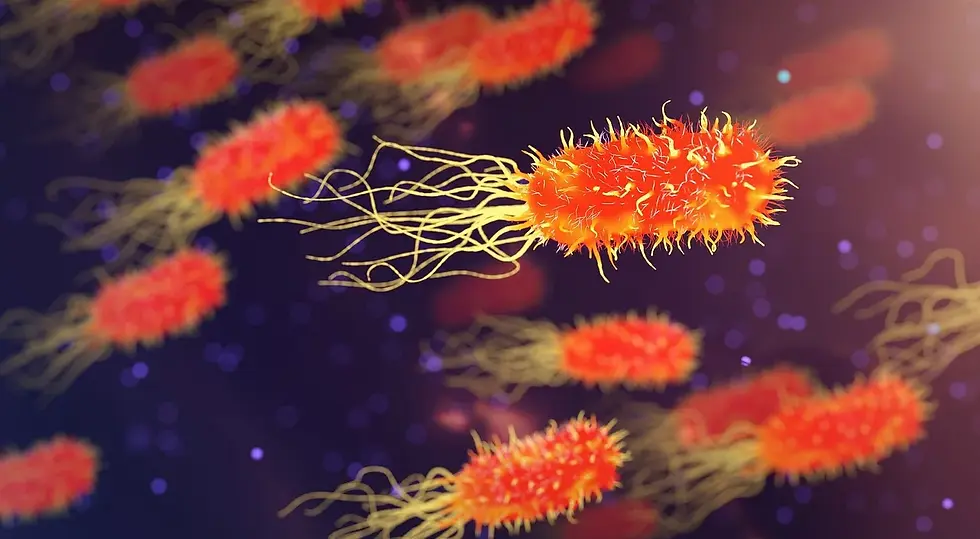 A 3D illustration of bacteria moving around