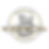 TNB logo (2).png