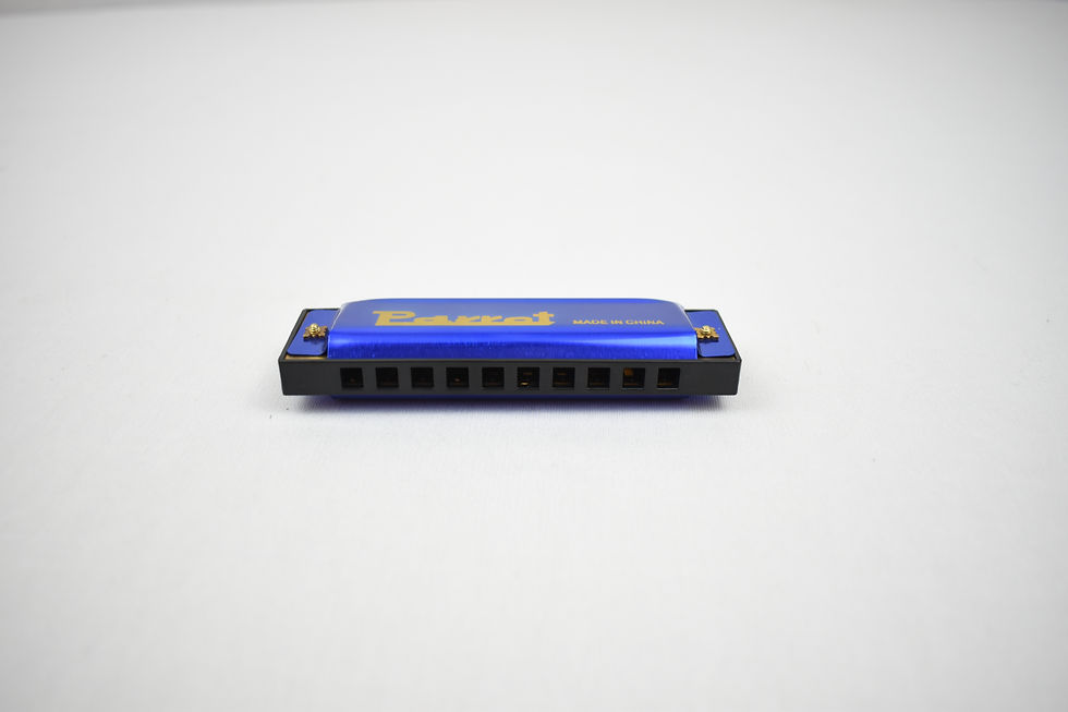 Miniatura: Armónica Parrot de 10 Hoyos