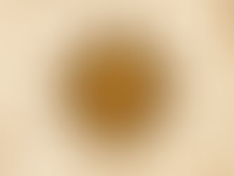 SOCIAL UND BRANDING US–MEX