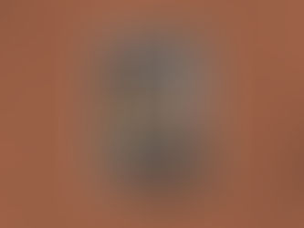 GLACEKARTE US–MEX TERRAZA