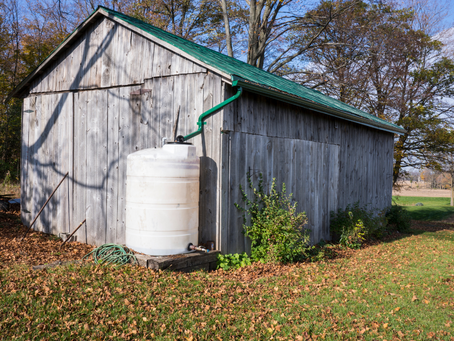 Sustainability Tip: Harvest Rainwater for the Dry Months
