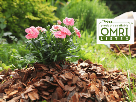 OMRI listed Organic Mulches: A Sustainable Choice for Gardening