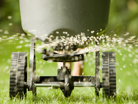 Summer Lawn Care Guide for Victoria, BC