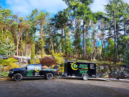Our CARE Philosophy: Redefining Yard Care at GYCS