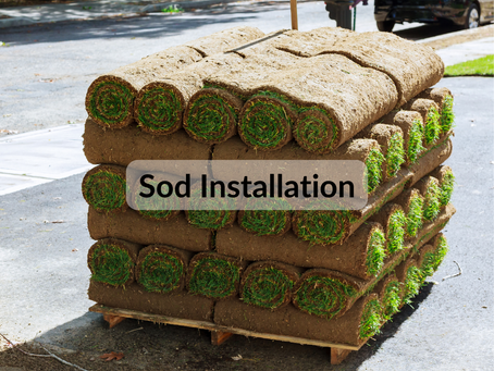 Why Choose Galaad Yard Care Services for Professional Sod Installation?