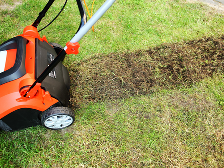 Optimum Soil Condition for Gas Exchange Between Soil and Air