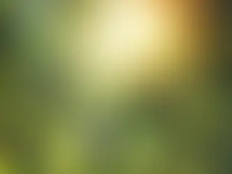 ✨ "Evine yaptığın yatırımı kendine yap; ev yerinde kalır, ama bu yatırım seninle her yere gider…" ✨