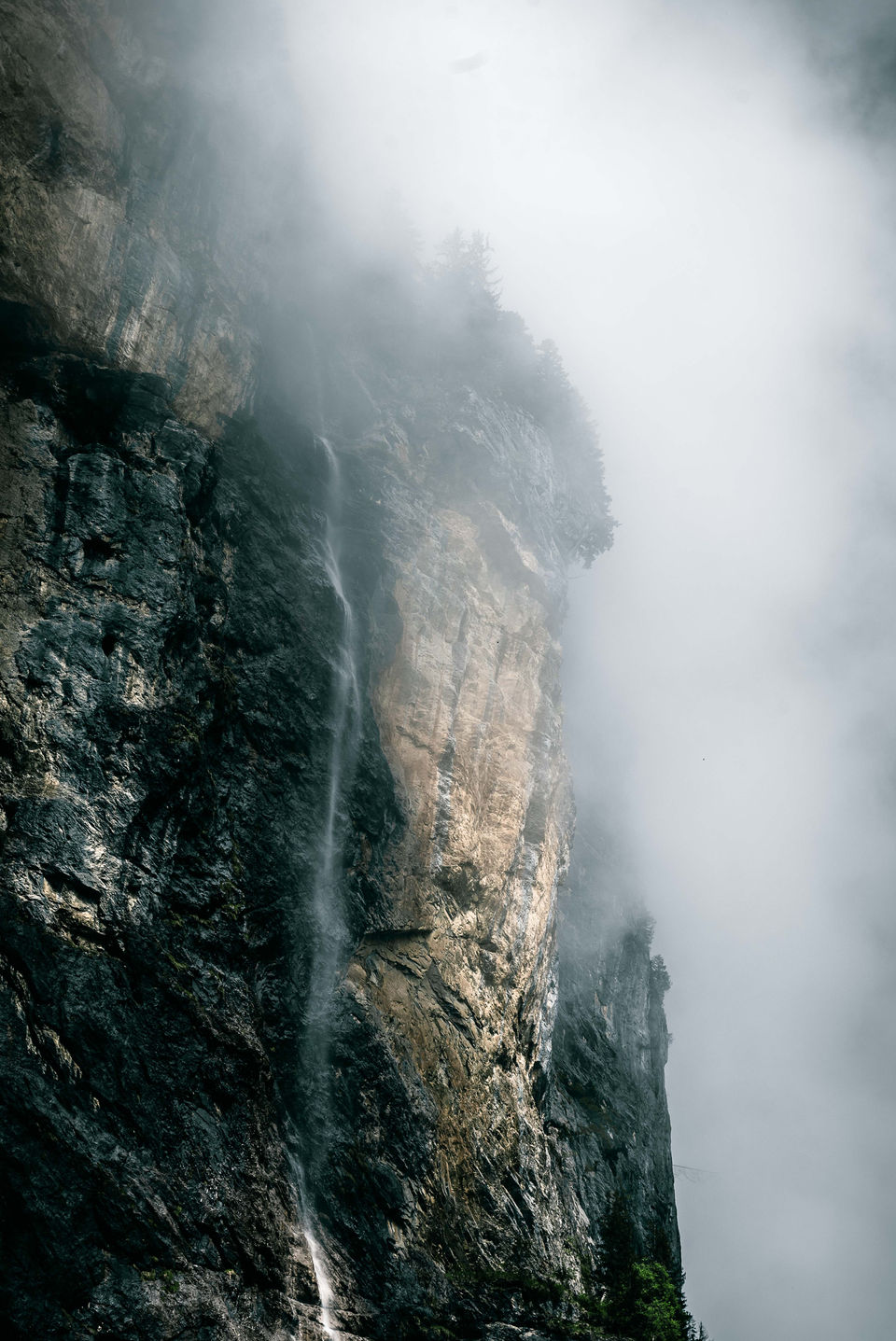 "Cascade" by Donna Stevens