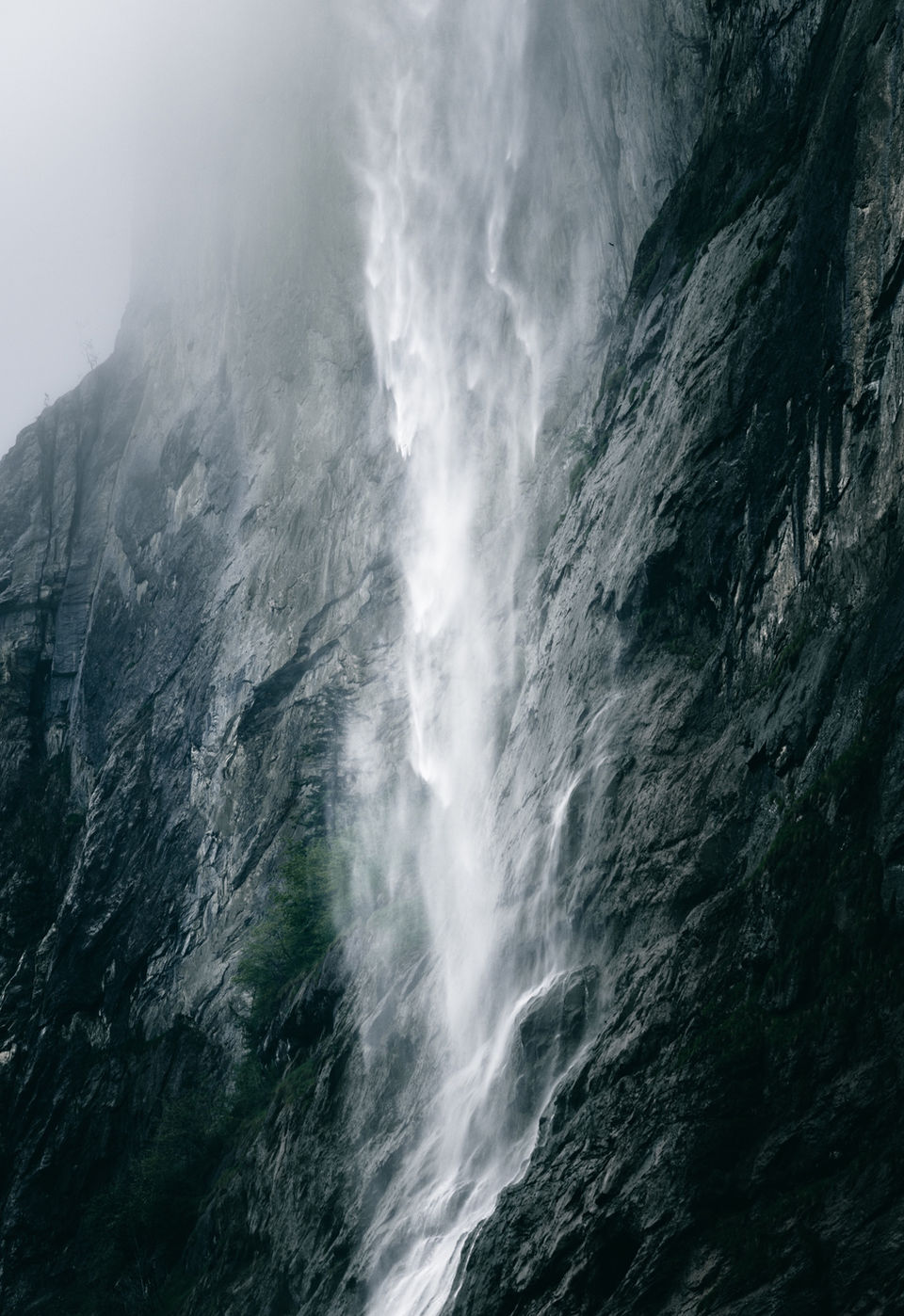 Green waterfall by Donna Stevens
