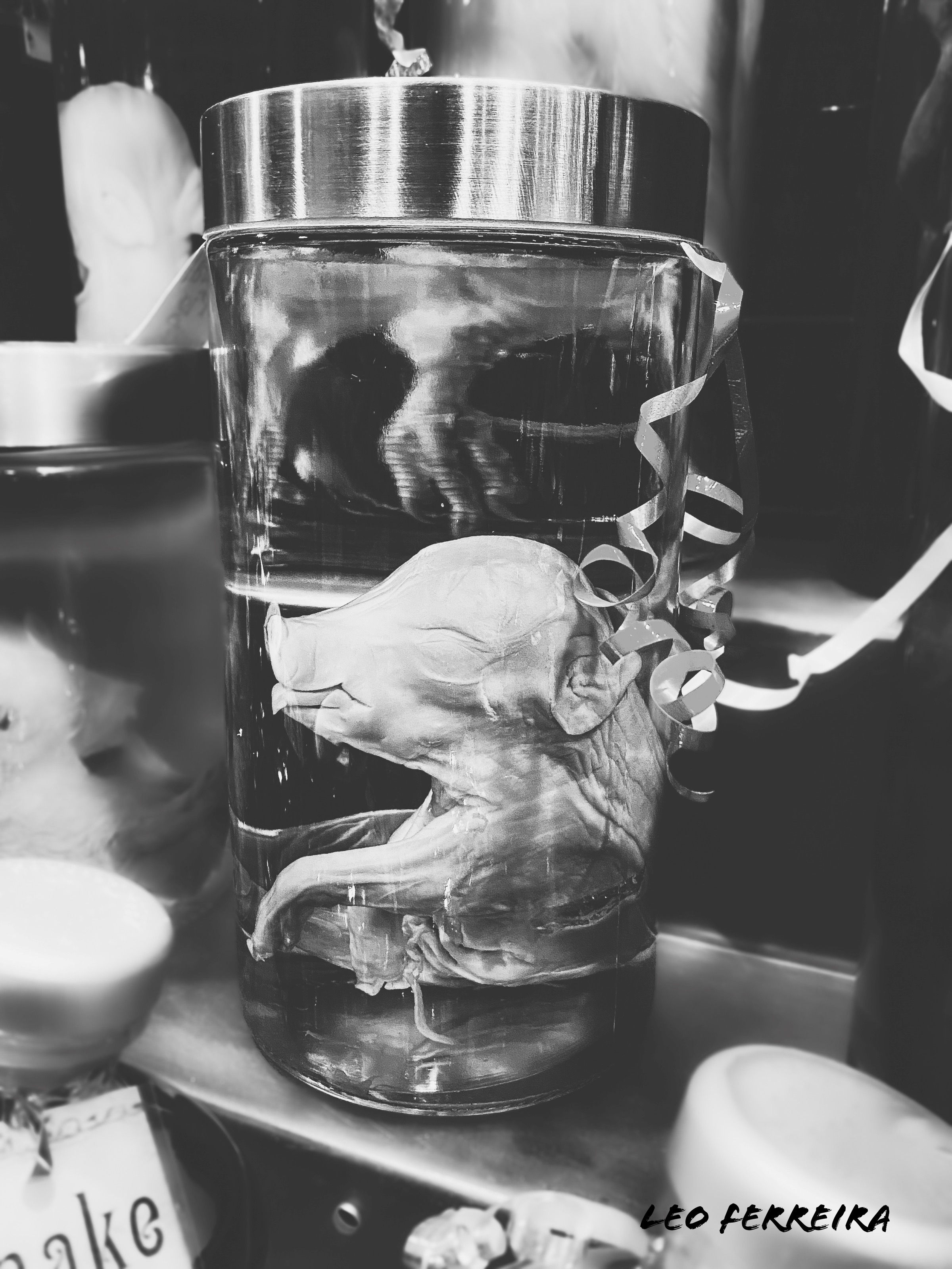 The Specimen (Digital Download)