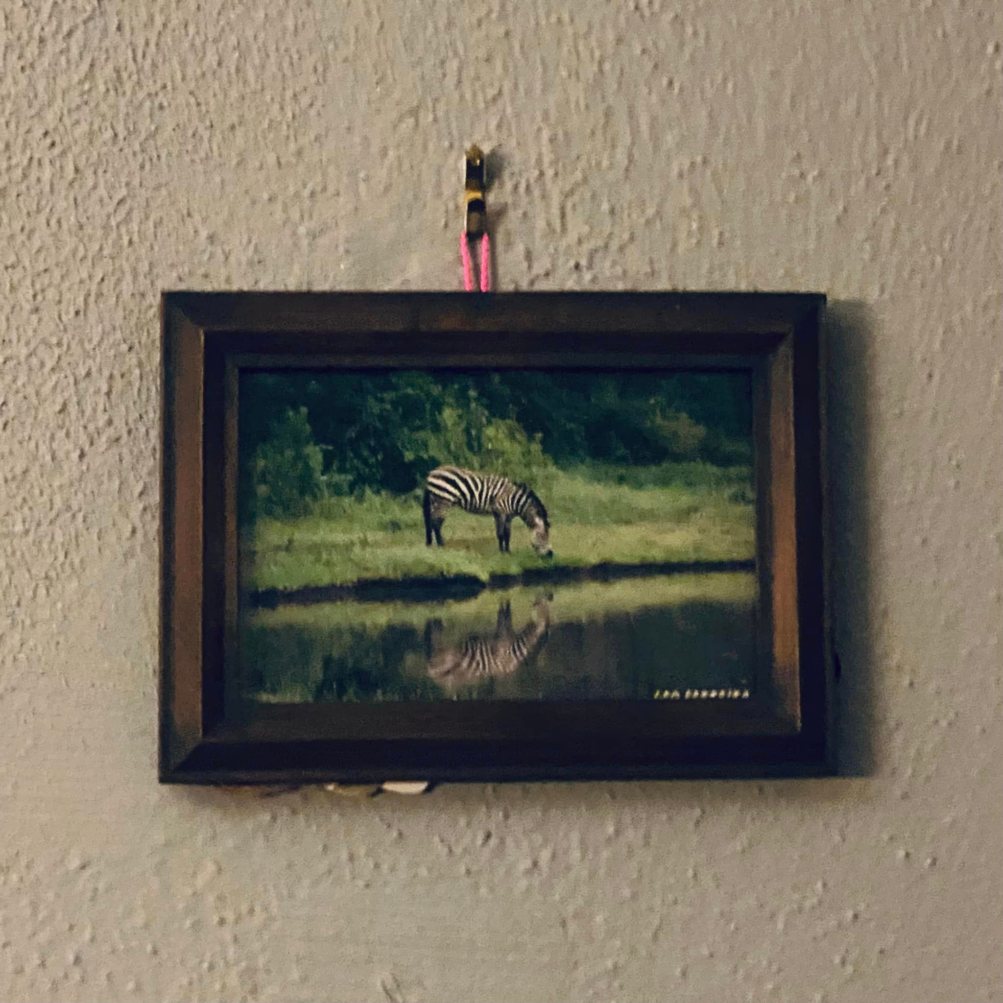 Safari Capture