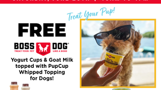 SAT 6/20/26: CELEBRATE NATIONAL DOG DAD DAY AT BENNY'S WITH ICE CREAM FOR YOUR PUP!  (DON'T WORRY, DOG MOMS ARE WELCOME TOO)