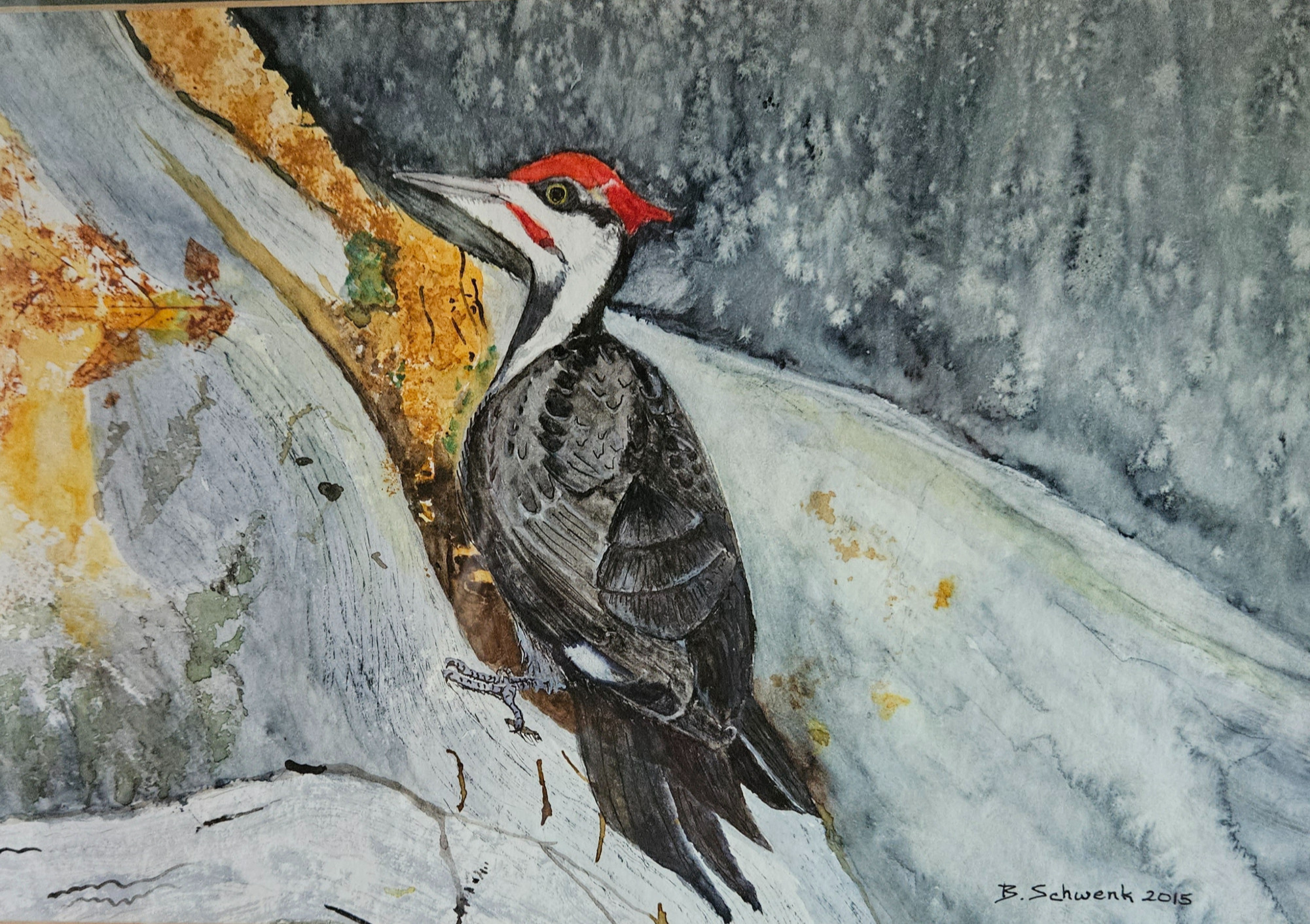 Piliated Woodpecker onTree Stump