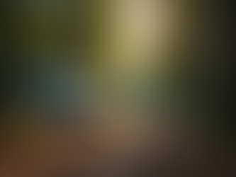 Explore the Great Outdoors: Rent Our RVs Today