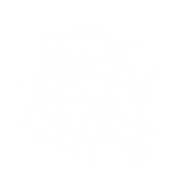 Network (main).png