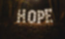 wp12634728_edited.jpg