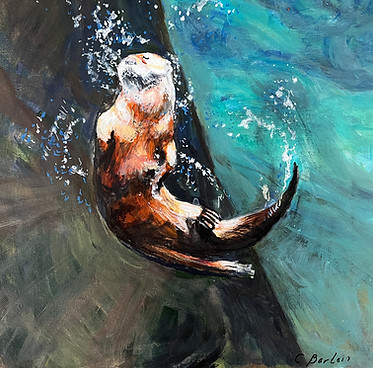 Carlin's otter.JPG