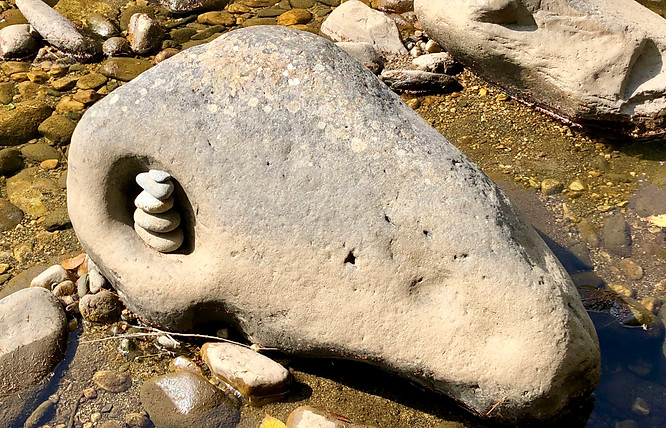 Rocks in the East Branch River.jpg